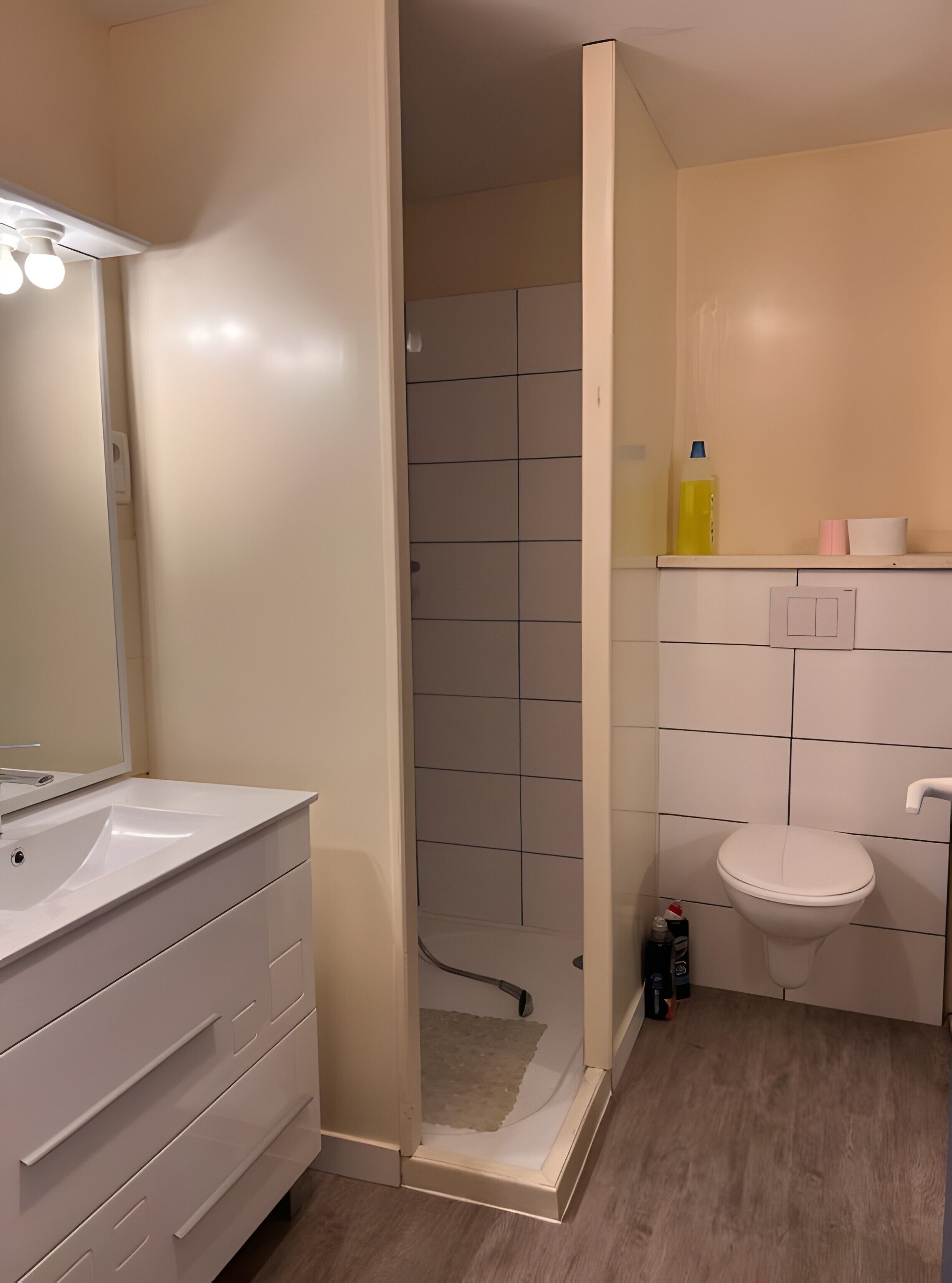 Shower, hair dryer
