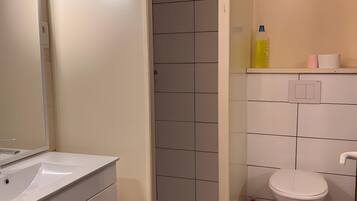Shower, hair dryer