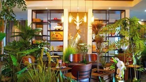 A room with a sofa, chairs, a coffee table, and a chandelier. - Eclat (Xuyi)