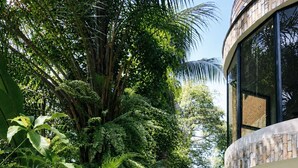 A lush garden with tropical plants and a curved building with large windows. - Luxor Garden Residence (Accra)