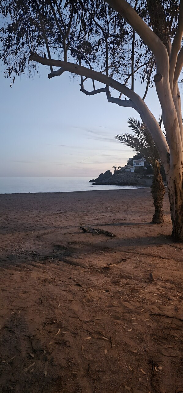 Une plage avec un arbre, un promontoire rocheux et un bâtiment en arrière-plan.