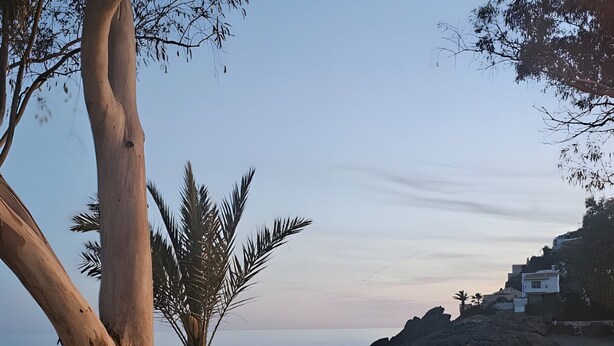 A beach with a wooden walkway, a large tree, and a palm tree. - Holiday Home 'Marolesja' with Mountain View, Wi-Fi and Air Conditioning (Puerto de Mazarrón)