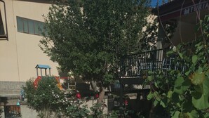 Un muro de piedra con una sombra, un árbol y un edificio con un letrero.