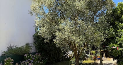 Biarritz-Anglet, T3 independent apartment, quiet residential area.
