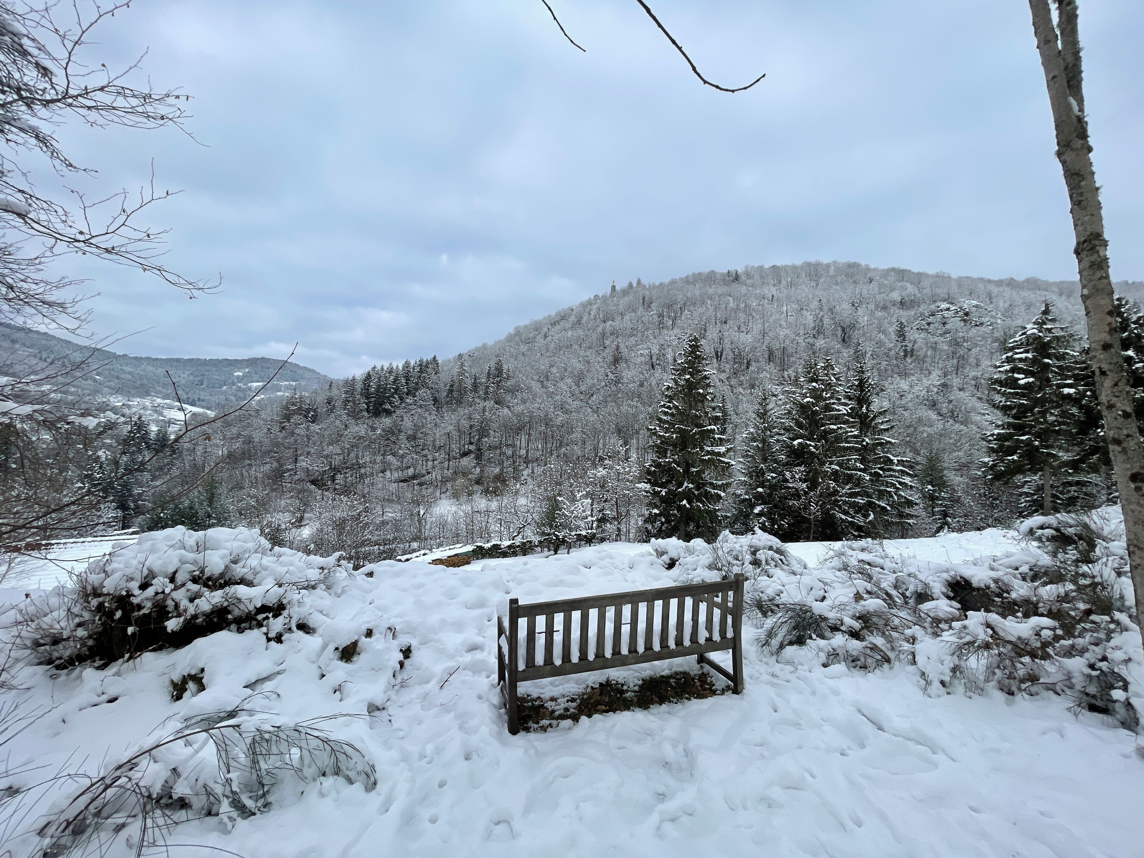 Um banco em uma paisagem coberta de neve, com uma montanha arborizada ao fundo.