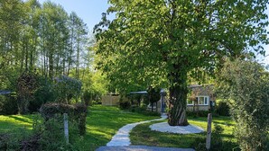 A gravel pathway leading to a house with a large tree in the center, surrounded by greenery. - Maisonnette le poulailler (Vaux-Villaine)