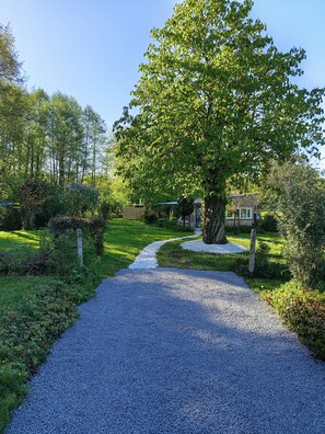 A gravel pathway leading to a house with a large tree in the center, surrounded by greenery.