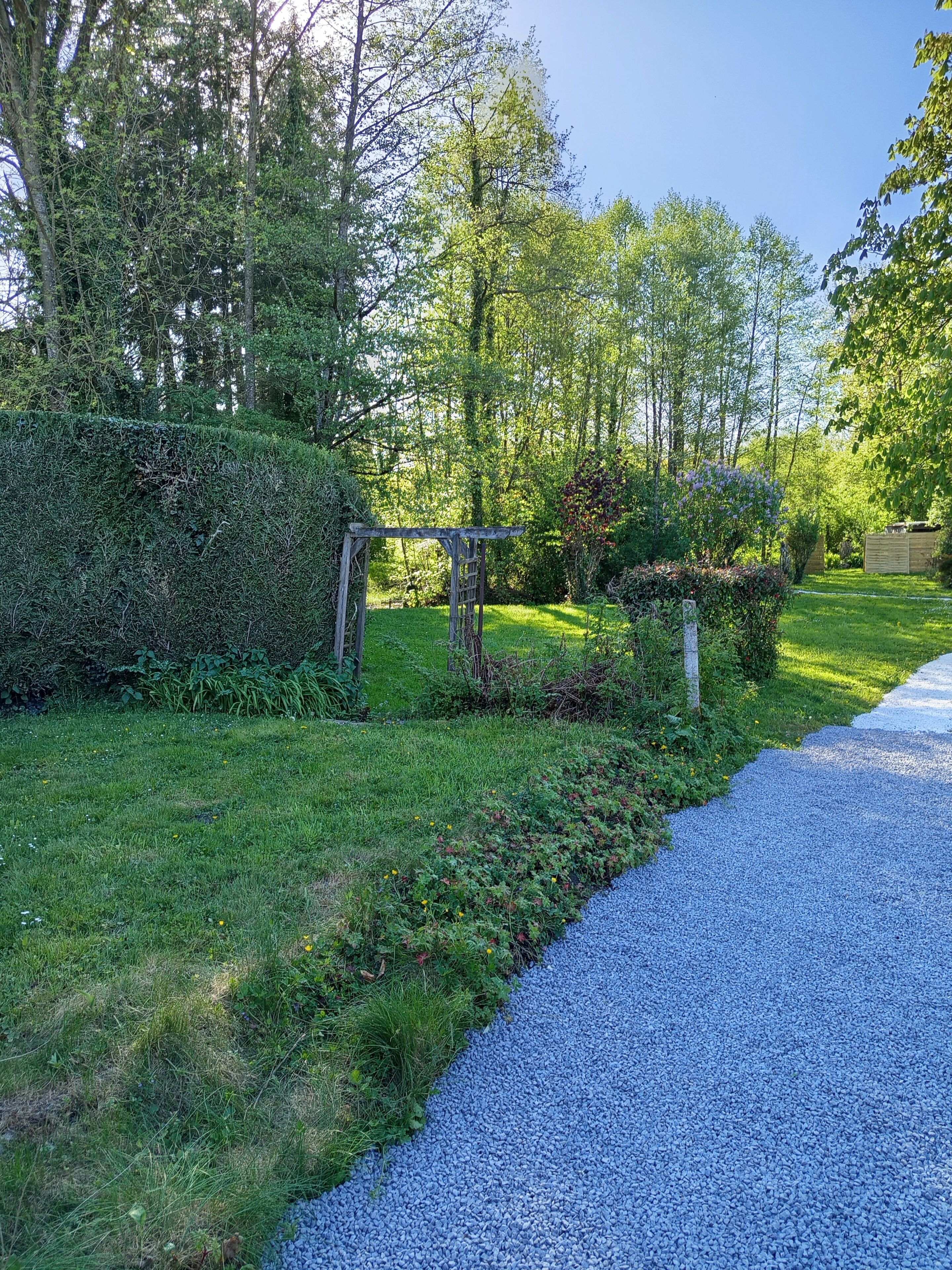 A gravel pathway leading through a garden with a wooden pergola and dense foliage.