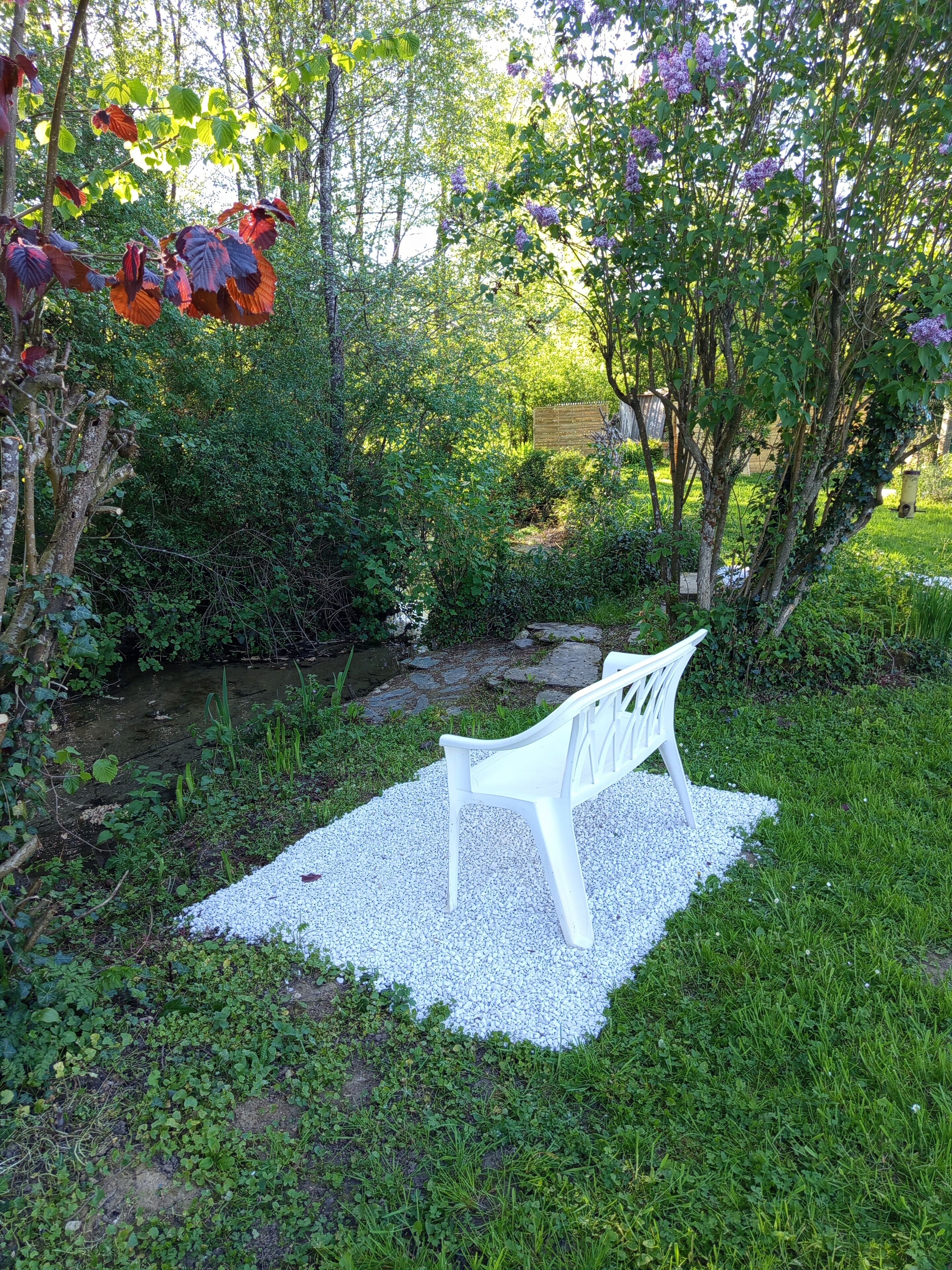 A white bench in a garden with a small stream and dense foliage.