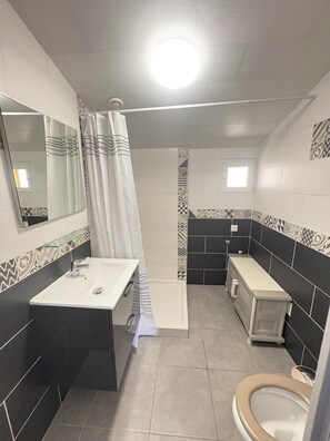 A bathroom with a sink, toilet, shower, and a mirror.