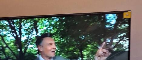 Television