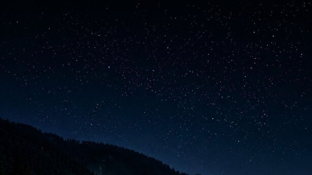 A lodge with a sign 'The Alpine Hut' at night, surrounded by trees and a starry sky. - The Alpine Hut (Manali)