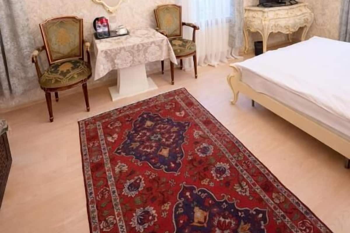 A hotel room with a bed, a television, a small table with chairs, and a decorative rug.