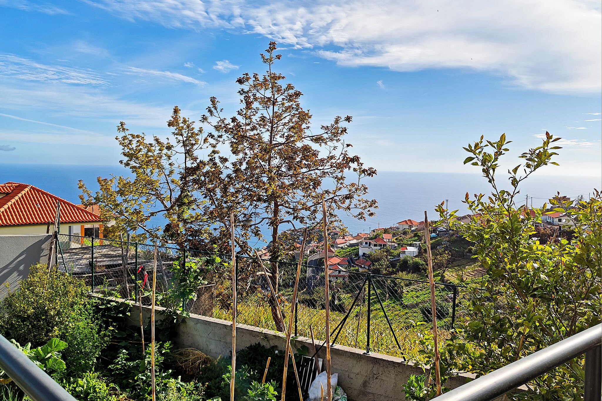 A residential area with houses, a clear sky, and a tree in the foreground.