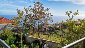 Un barrio residencial con casas, cielo despejado y un árbol en primer plano.