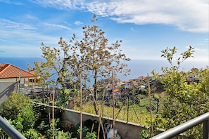 Un quartier résidentiel avec des maisons, un ciel dégagé et un arbre au premier plan.