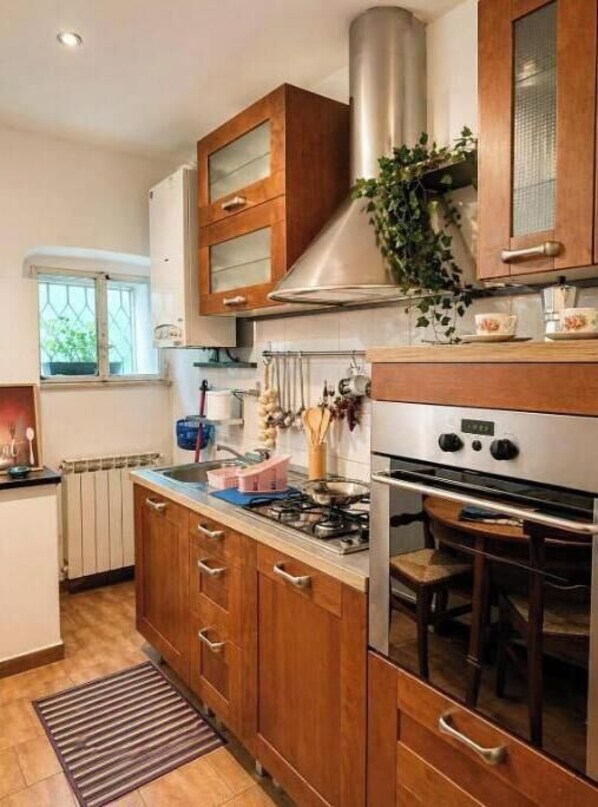 Private kitchen - Vrbo Property (Villa Viani)