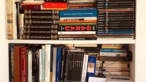 Une bibliothèque remplie de livres, une petite plante en pot et une étagère blanche.