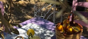 Moon Garden House