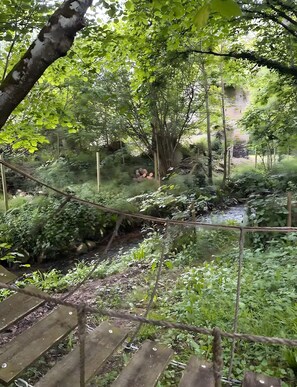 A wooden bridge over a stream in a lush, green forested area.