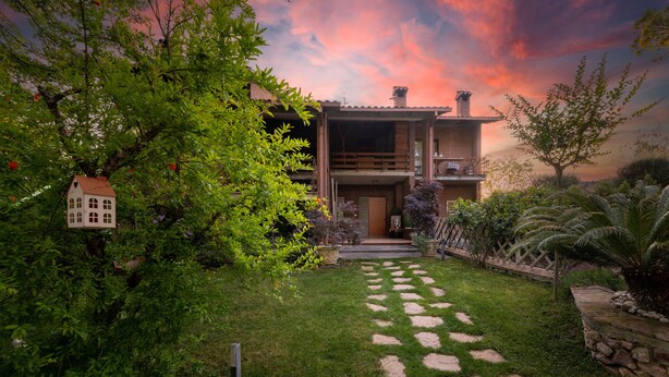 Una casa con un sendero de piedra que conduce a la entrada, rodeada de abundante vegetación y un árbol con un comedero para pájaros.