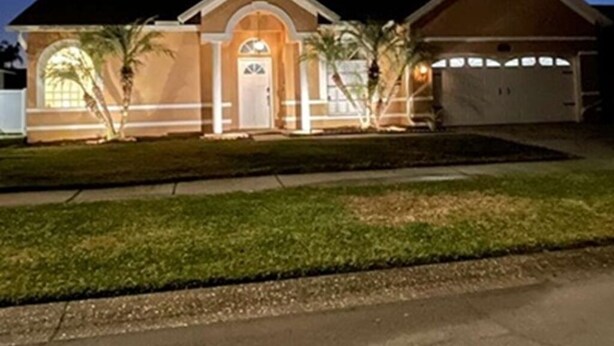 A two-story house with a garage, a front entrance with a door, and a small front yard with palm trees. - Beautiful 3-bedroom House in New Tampa (Tampa)