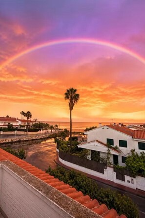 A coastal view with a rainbow, palm trees, and buildings with red-tiled roofs.