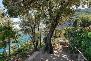 A pathway leading to a scenic overlook with a view of a body of water and hills.
