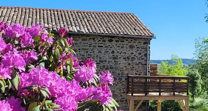 Guest Room “Chambre Margeride” with Private Terrace