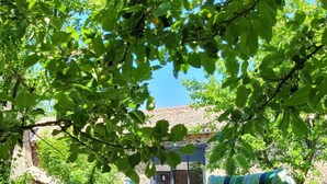 Due sedie da esterno con cuscini a righe sotto un albero, un'area verde e un edificio in pietra sullo sfondo.
