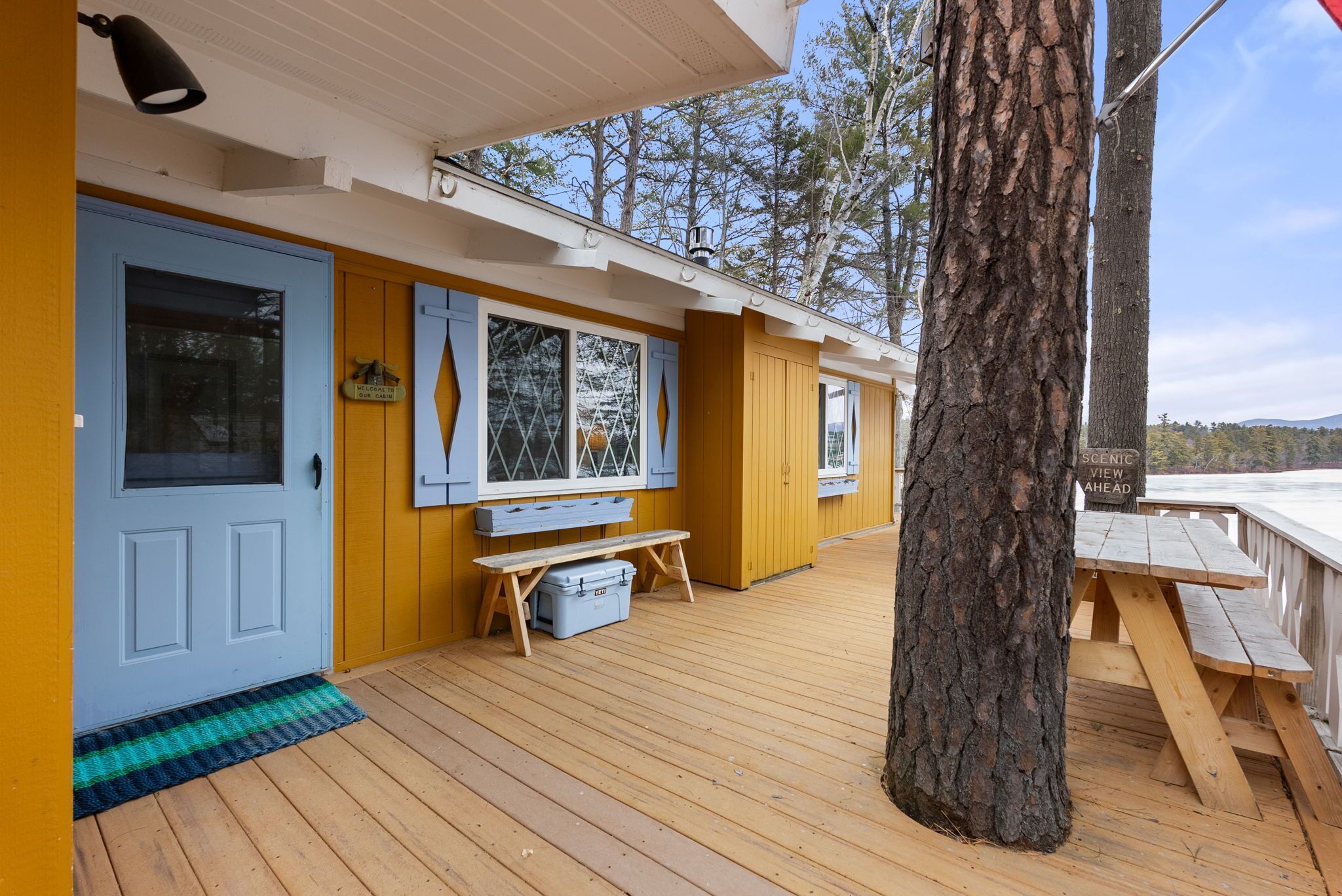A wooden deck with a bench, a tree, and a door with a window.
