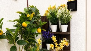 A small indoor garden with a water feature, potted plants, and a shelf with additional greenery. - Centrally located two-bedroom apartment with patio. Charming (Córdoba España)