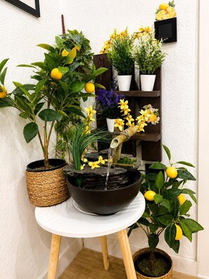A small indoor garden with a water feature, potted plants, and a shelf with additional greenery. - Centrally located two-bedroom apartment with patio. Charming (Córdoba España)