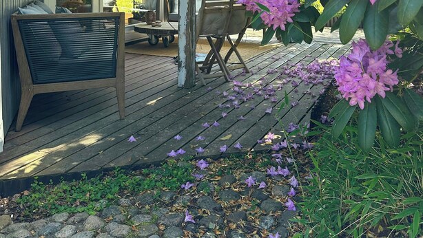 Eine Holzterrasse mit einem Stuhl und Tisch, umgeben von violetten Blumen.