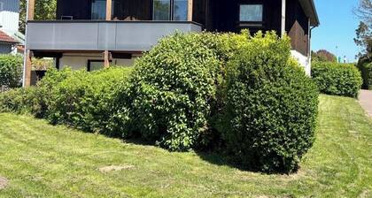 Apartment Meerzeit - on the beach with parking and terrace, newly renovated