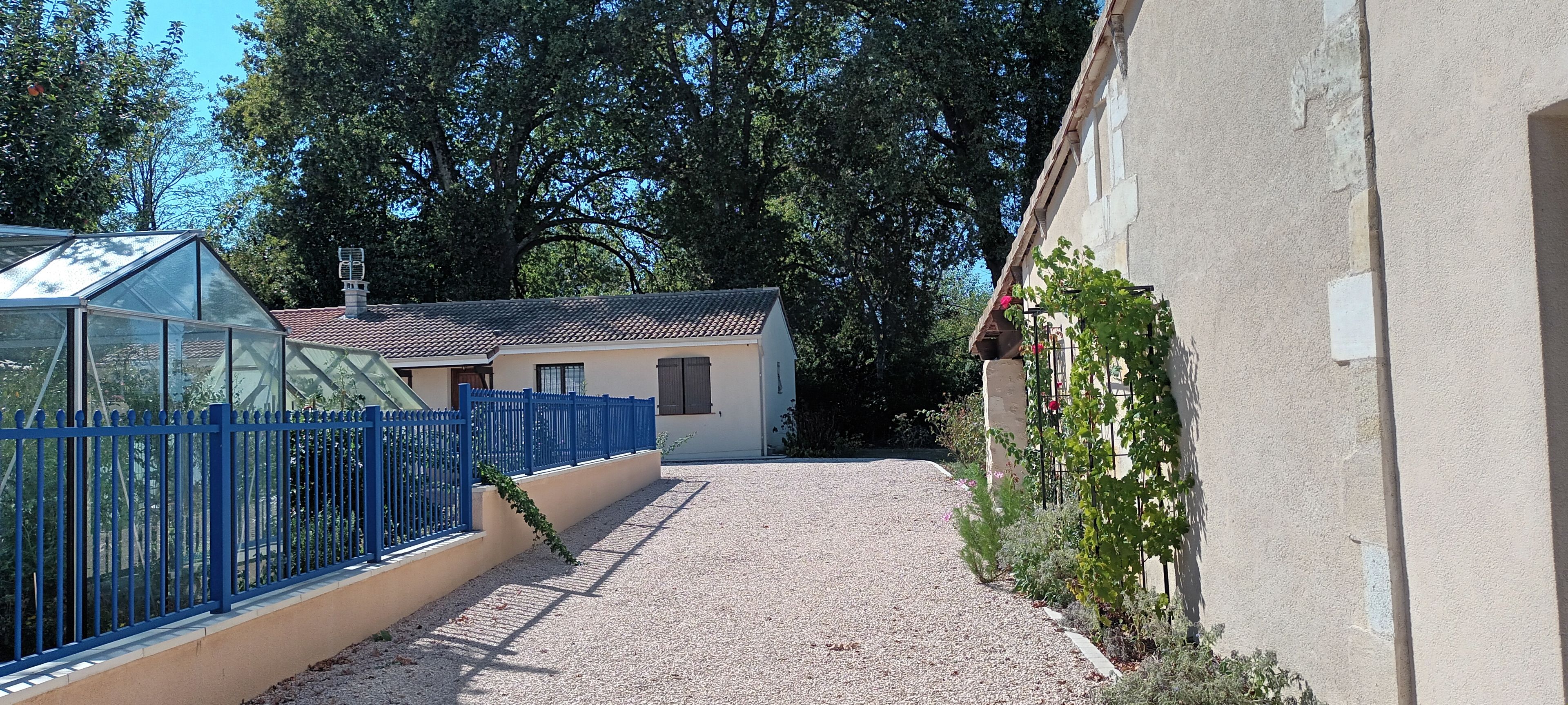 A narrow gravel pathway leading to a building with a tiled roof and a blue fence.
