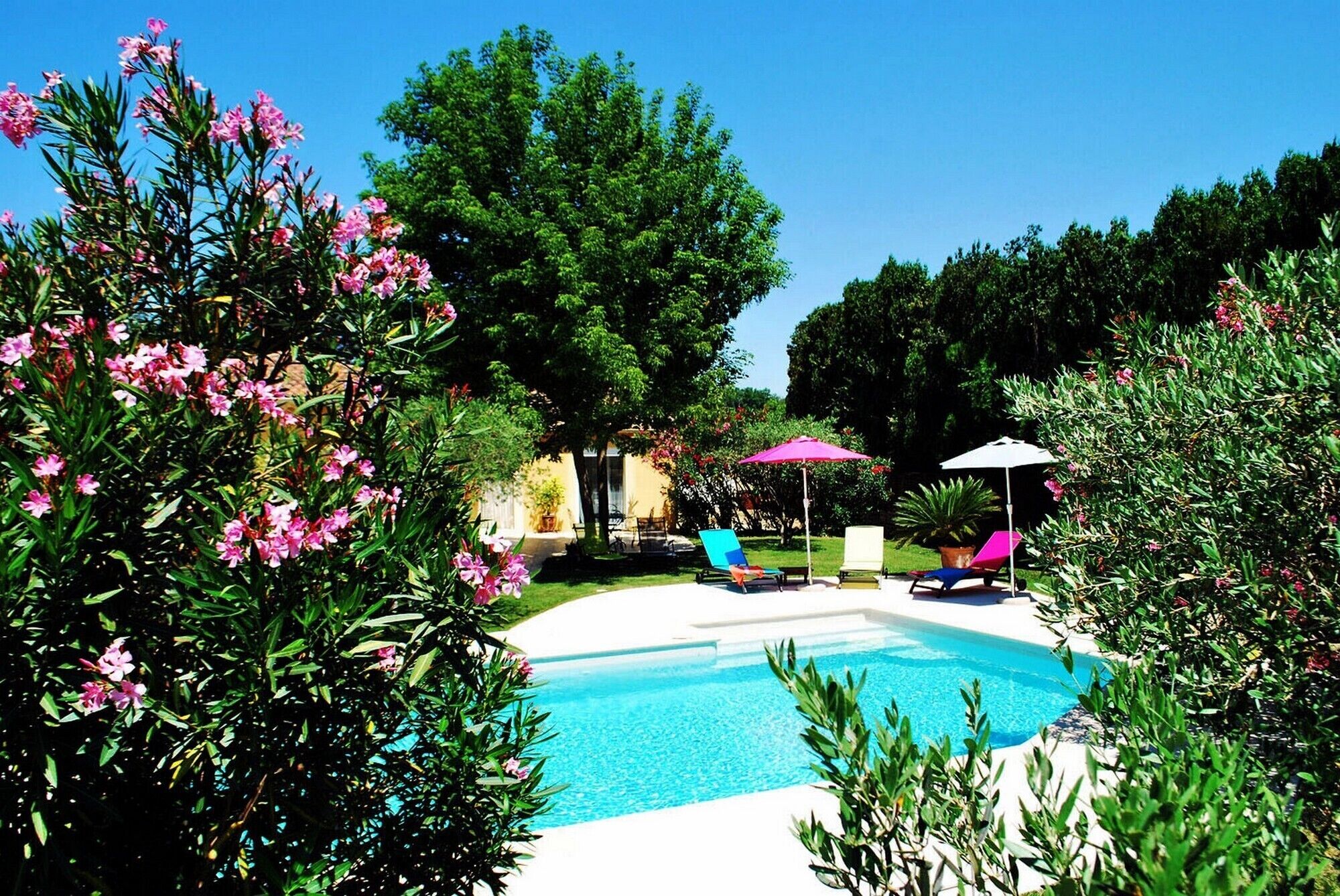 Zona de piscina amb gandules i ombrelles, envoltada de vegetació i arbres.