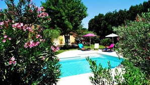 Uma área de piscina com espreguiçadeiras e guarda-sóis, cercada por vegetação e árvores.
