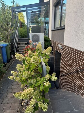 A residential garden with a brick wall, a glass door, and a potted plant.