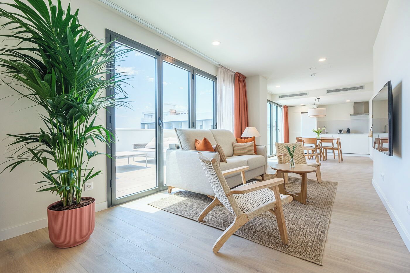 Una sala de estar moderna con un sofá, sillas, una mesa de comedor y una planta grande en maceta.