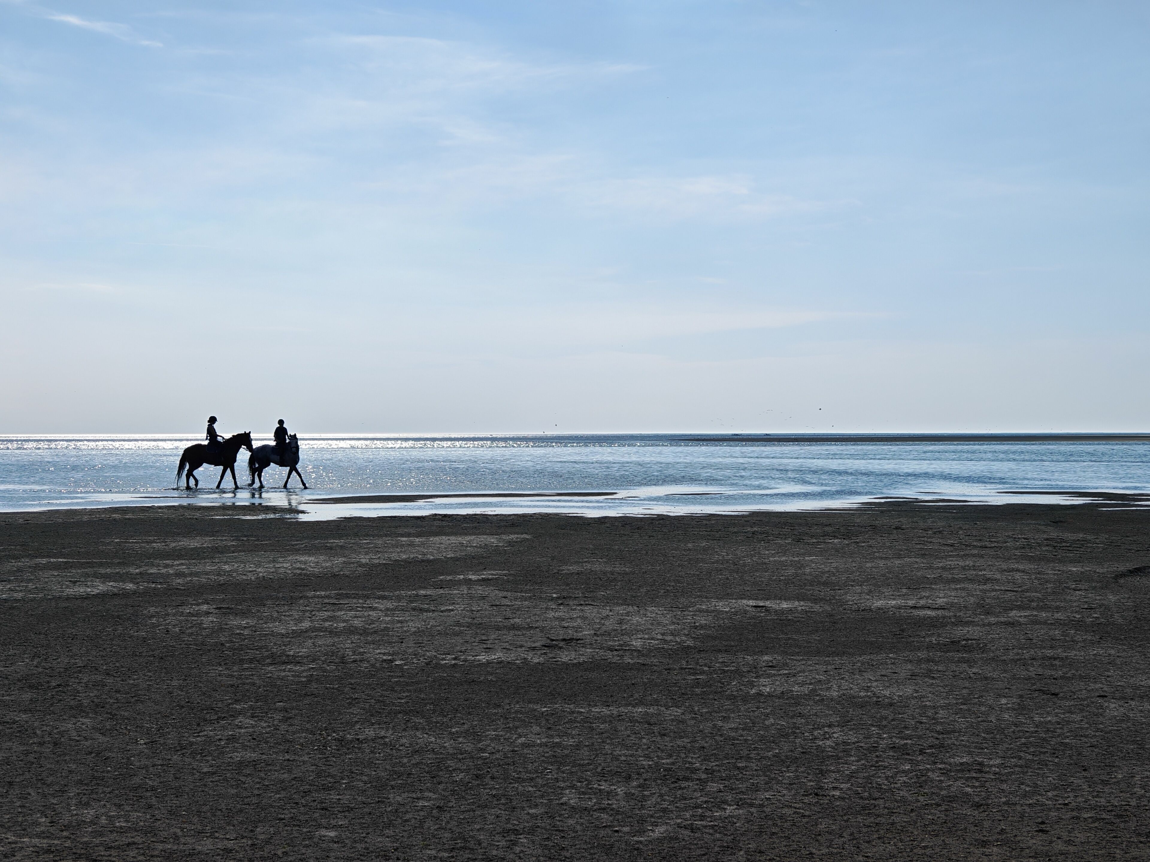 A beach with two horses and riders, a clear sky, and the ocean in the background.