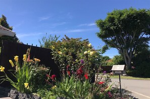 A garden with various flowers and a signpost.