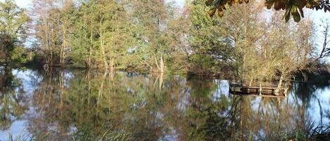 Ein ruhiger See mit Spiegelungen von Bäumen und einer Anlegestelle.