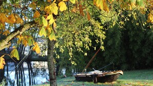 Un bote amarrado a un lago tranquilo con árboles en primer plano.
