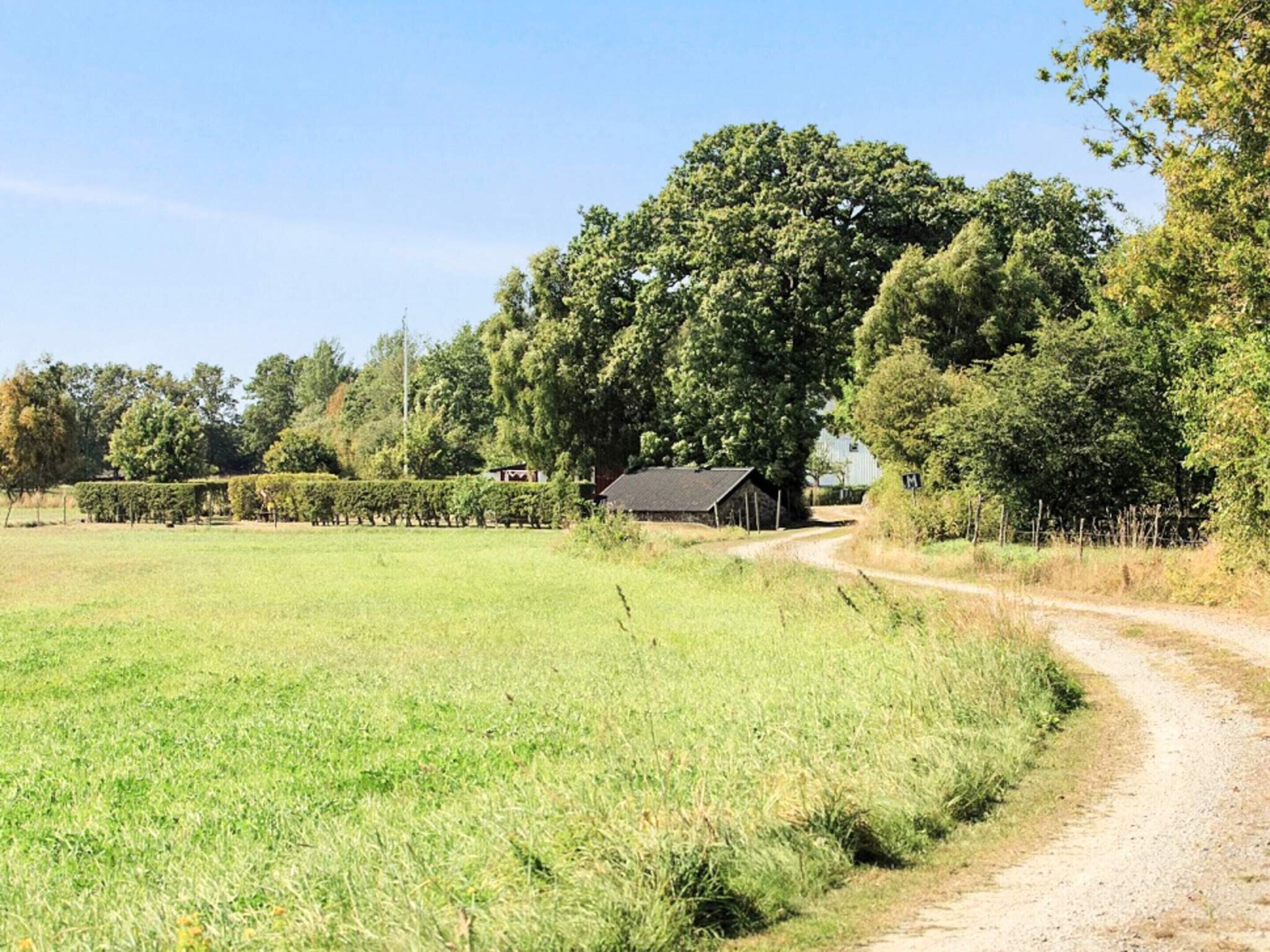 Eine ländliche Landschaft mit einer Feldstraße, einem großen Baum und einem kleinen Gebäude.