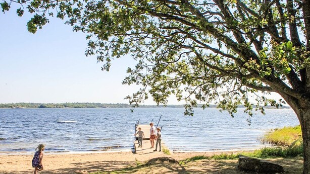A lakeside scene with a tree, a dock, and people by the water. - 4 Person Holiday Home in Ronneby (Listerby)