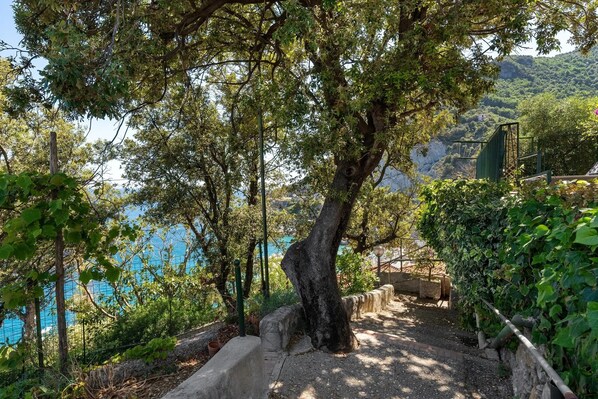 A pathway leading to a scenic overlook with a view of a body of water and hills.