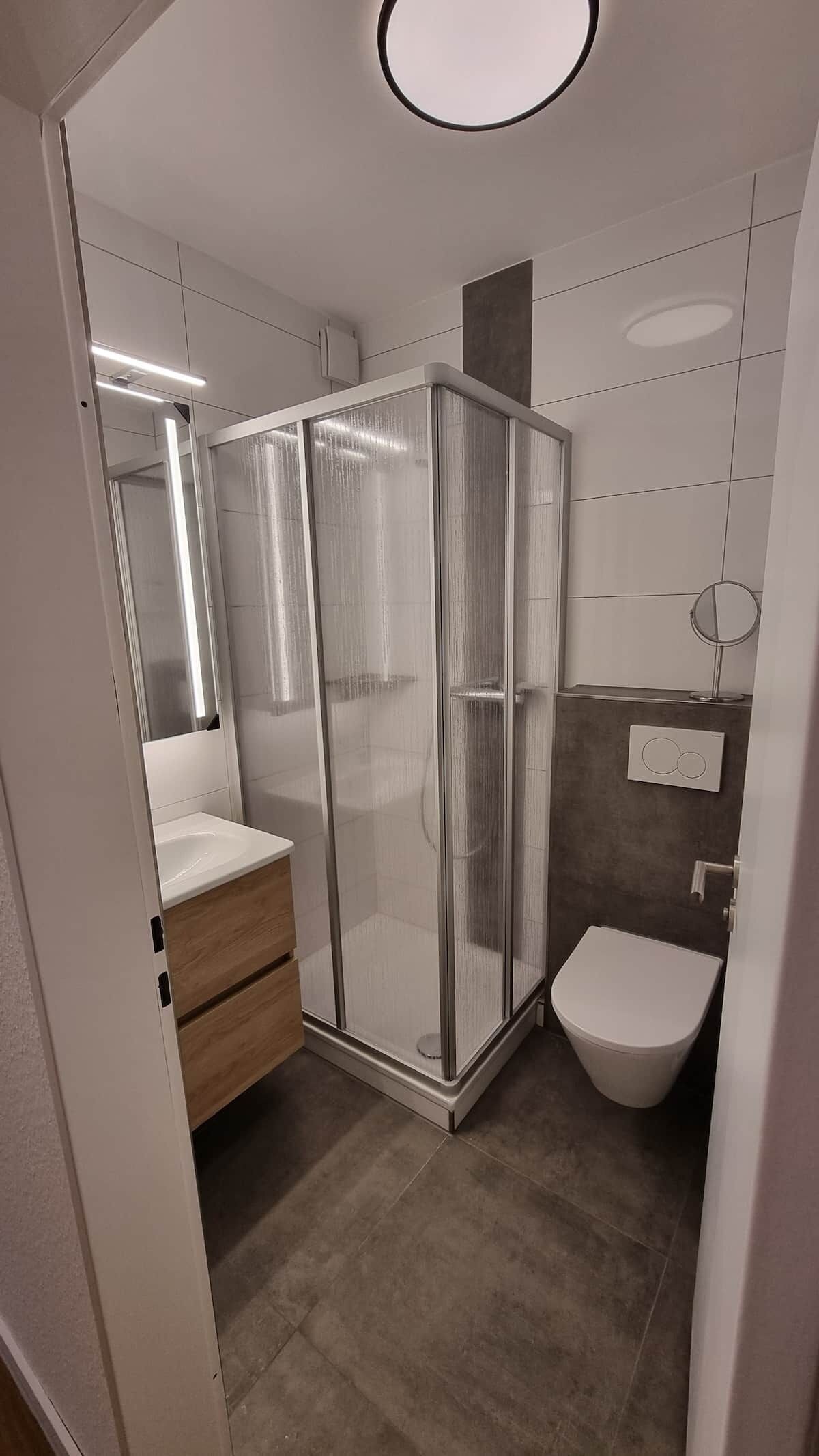 Dusche, Haartrockner, Seife, Toilettenpapier