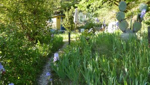 Ein Gartenweg mit viel Grün und Kakteen, ein gelbes Gebäude und eine Ziegelmauer.