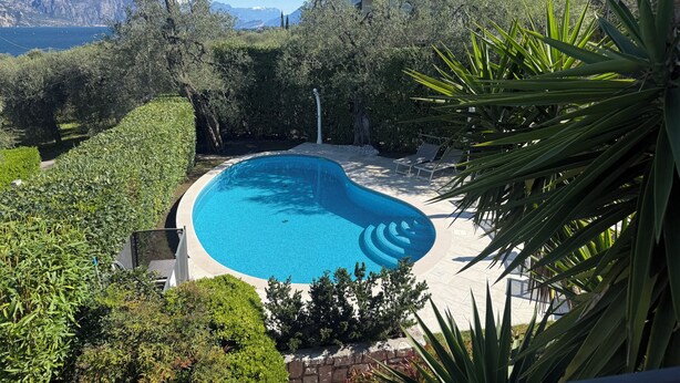 Uma piscina rodeada por vegetação, com vista para a montanha ao fundo.